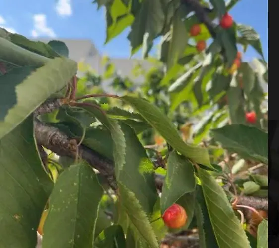 La Caroline 2 Βίλα Μονπελιέ